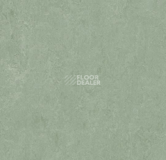 Линолеум Forbo Marmoleum Marbled Fresco 3891-389135 sage фото 1 | FLOORDEALER